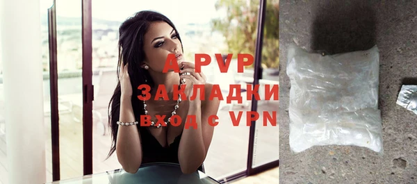 прущие грибы Дмитриев
