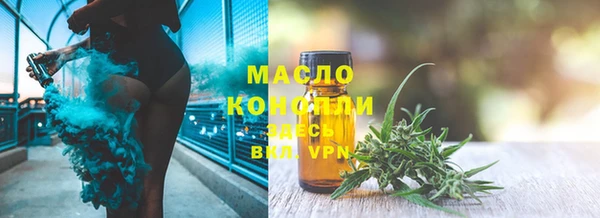 прущие грибы Дмитриев