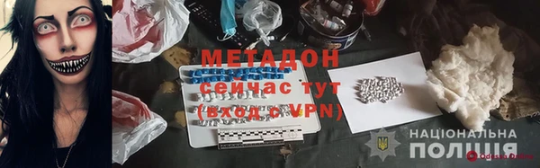 прущие грибы Дмитриев