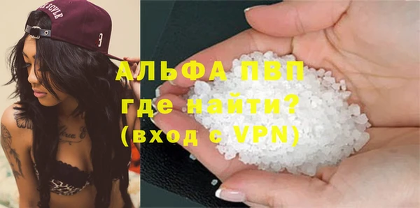 прущие грибы Дмитриев