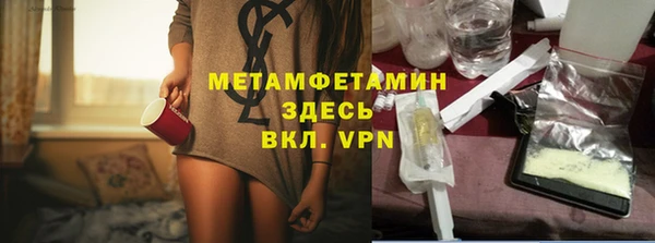 прущие грибы Дмитриев