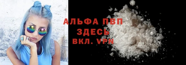 сатива Аша