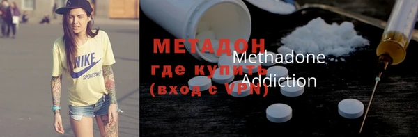 прущие грибы Дмитриев