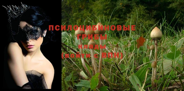 бутират Дмитров