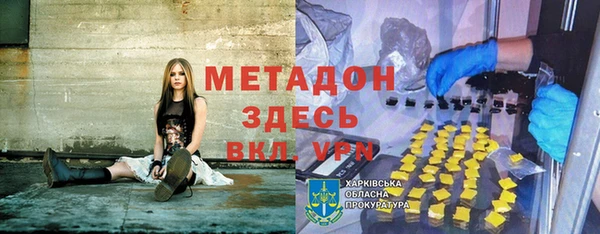 прущие грибы Дмитриев
