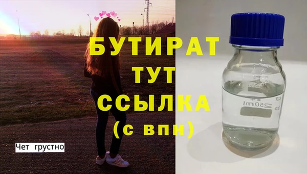 прущие грибы Дмитриев