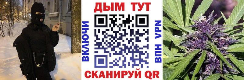 магазин продажи   Жирновск  Каннабис индика 